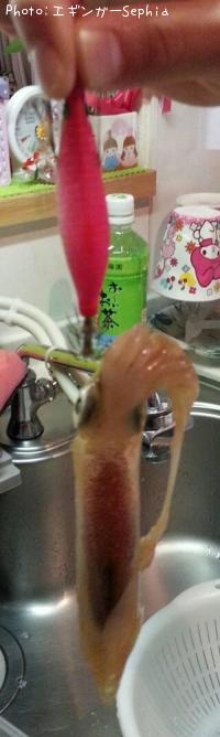 ꥤ