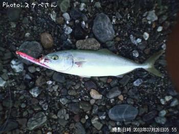 ヮカシ