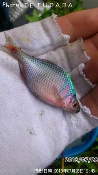 ΦХ饿ʥ