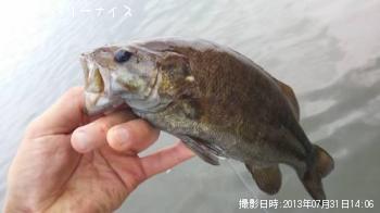 スモールマウスバス