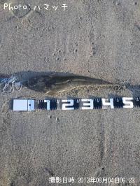 ޥ