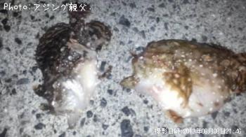륢󥳥ʵ쥤ꥦ