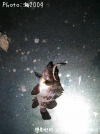 Х