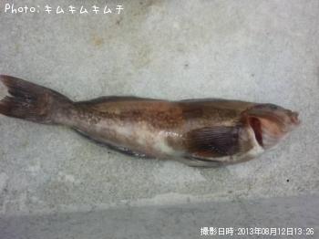 ʥ