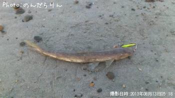 エソ