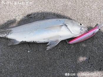 イシモチ