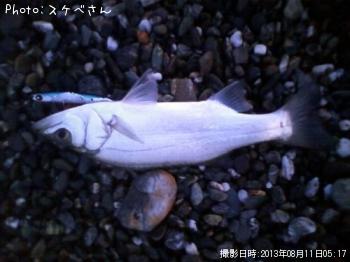 ҥ饻