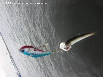٥