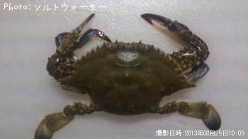 勵ꥬ