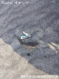 ޥ