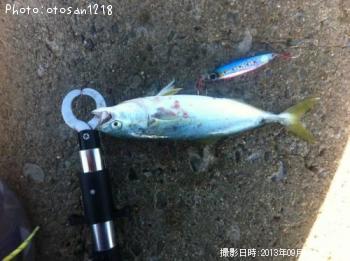イナダ