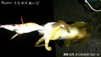 ꥤ