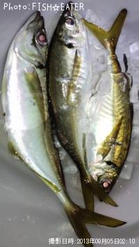 アジ