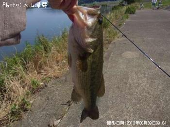 ブラックバス