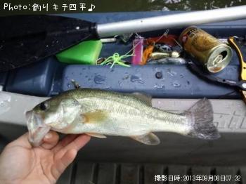 ブラックバス
