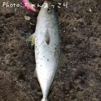 參ʥ