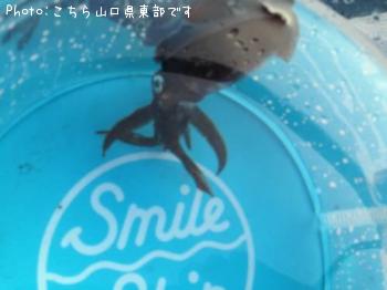 ꥤ