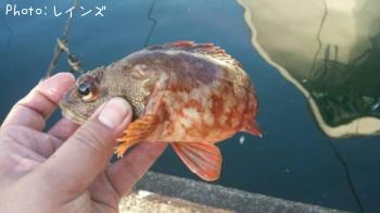 �������������ϥ�