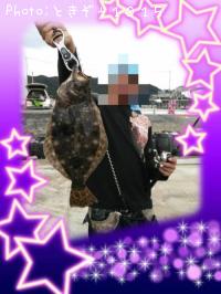 ヒラメ