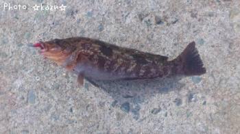 ʥ