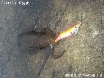 ꥤ
