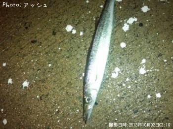 わかんない