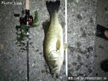 ブラックバス
