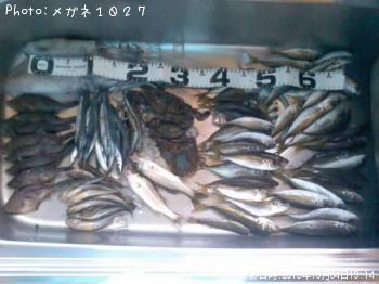 雑魚