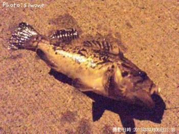 クロソイ