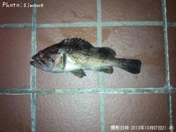 クロソイ