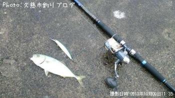參