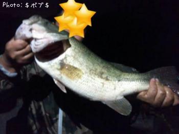 ブラックバス