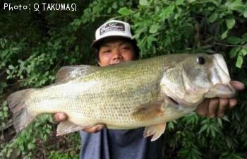 ブラックバス