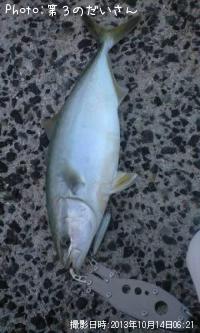 䥺