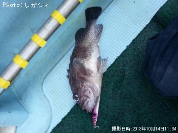 ソイ