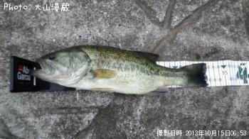 ブラックバス