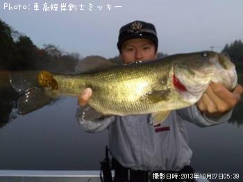 ブラックバス