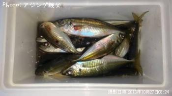 アジ