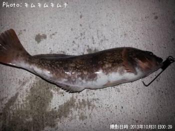 アイナメ