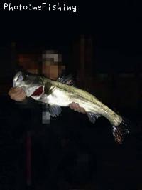 Х