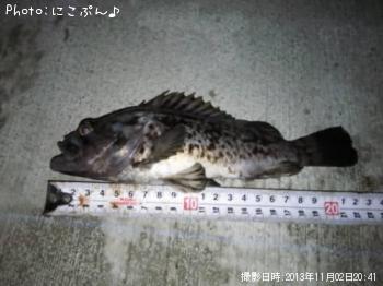 ソイ