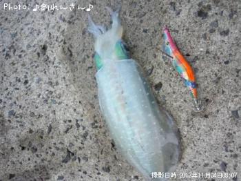 屨±