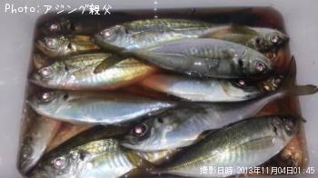 アジ