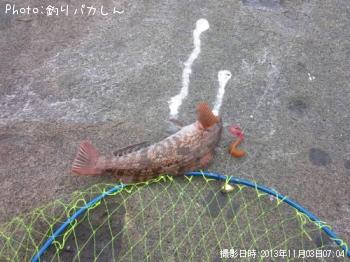ʥ