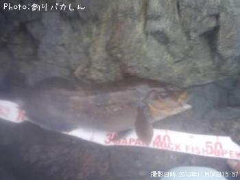ʥ