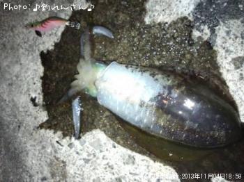 屨±