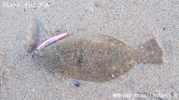 ヒラメ