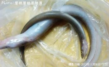 アナゴ
