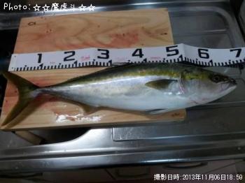 ワラサ