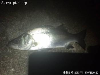 セイゴ